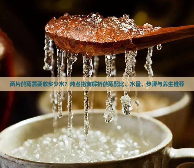 两片燕窝需要放多少水？炖煮指南解析燕窝配比、水量、步骤与养生推荐