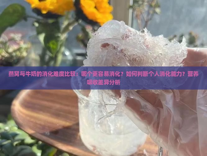 燕窝与牛奶的消化难度比较：哪个更容易消化？如何判断个人消化能力？营养吸收差异分析