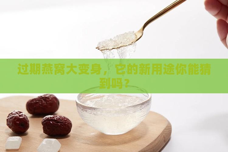 过期燕窝大变身，它的新用途你能猜到吗？