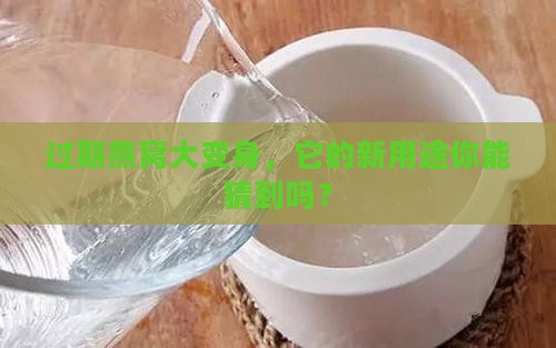 过期燕窝大变身，它的新用途你能猜到吗？