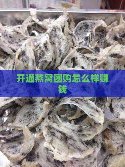 开通燕窝团购怎么样赚钱