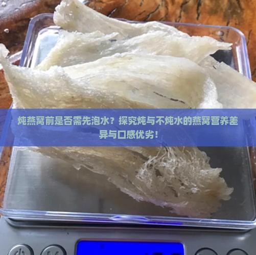 炖燕窝前是否需先泡水？探究炖与不炖水的燕窝营养差异与口感优劣！