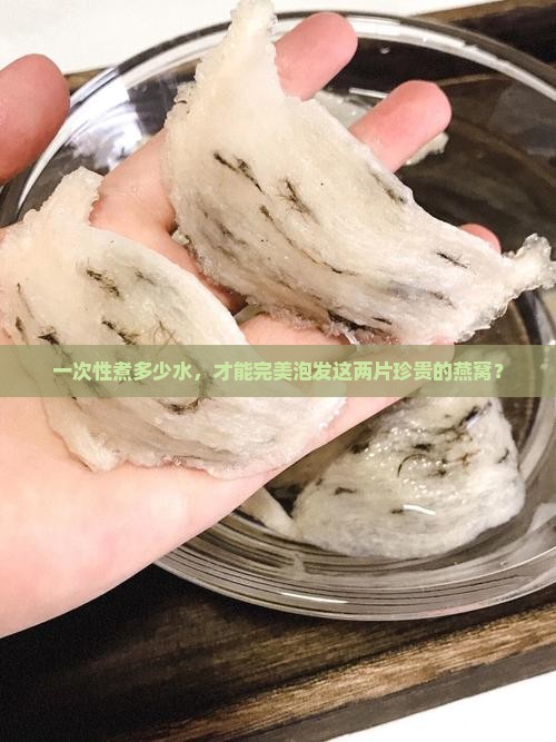 一次性煮多少水，才能完美泡发这两片珍贵的燕窝？