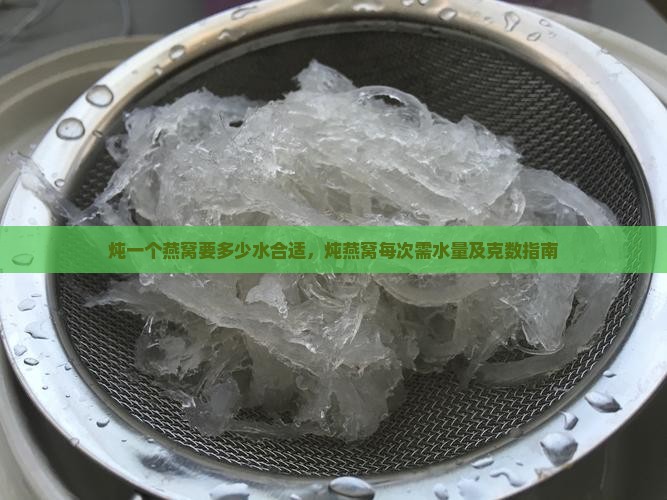炖一个燕窝要多少水合适，炖燕窝每次需水量及克数指南