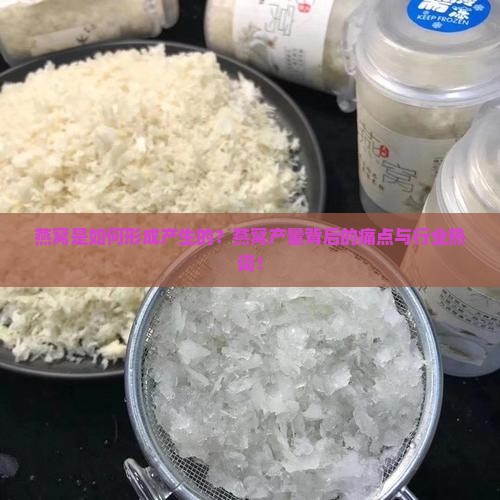 燕窝是如何形成产生的？燕窝产量背后的痛点与行业热词！