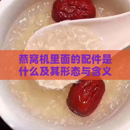 燕窝机里面的配件是什么及其形态与含义