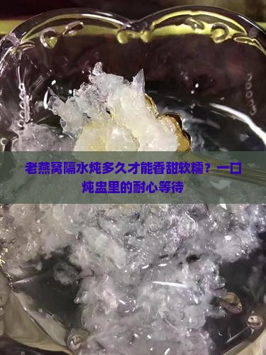 老燕窝隔水炖多久才能香甜软糯？一口炖盅里的耐心等待