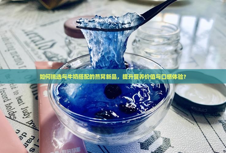 如何挑选与牛奶搭配的燕窝新品，提升营养价值与口感体验？