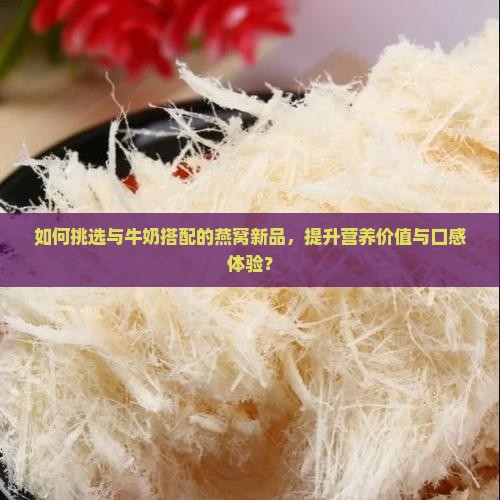 如何挑选与牛奶搭配的燕窝新品，提升营养价值与口感体验？
