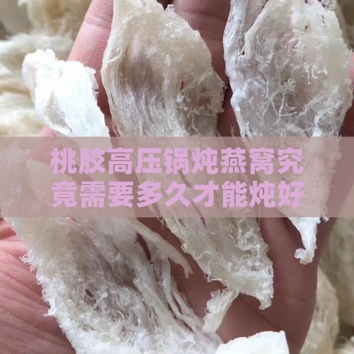桃胶高压锅炖燕窝究竟需要多久才能炖好