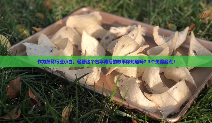 作为燕窝行业小白，轻奢这个名字背后的故事你知道吗？3个关键起点！
