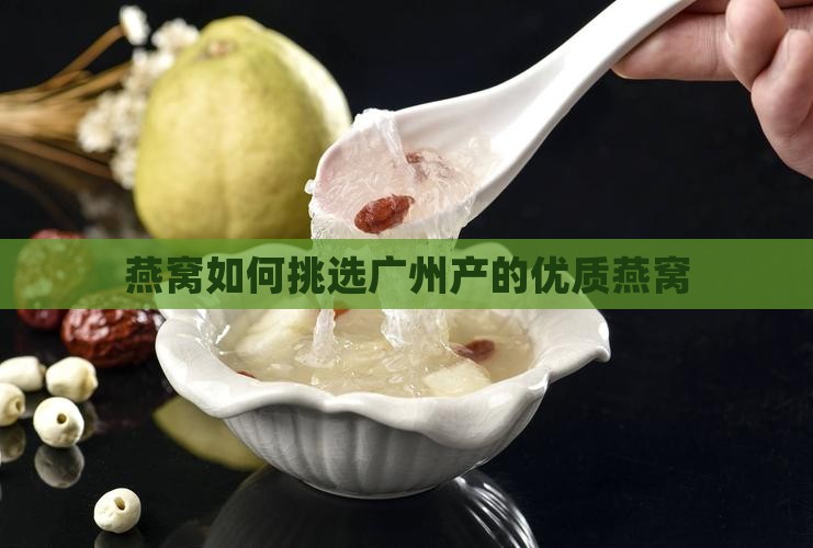 燕窝如何挑选广州产的优质燕窝
