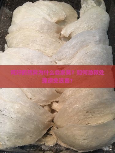炖好的燕窝为什么会发臭？如何急救处理避免浪费？