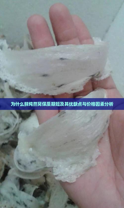 为什么鲜炖燕窝保质期短及其优缺点与价格因素分析