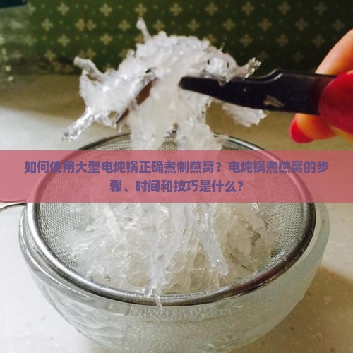 如何使用大型电炖锅正确煮制燕窝？电炖锅煮燕窝的步骤、时间和技巧是什么？