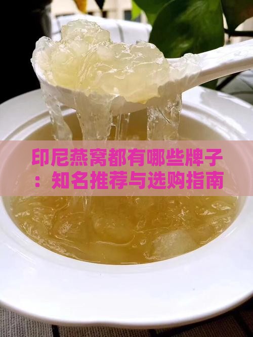 印尼燕窝都有哪些牌子：知名推荐与选购指南