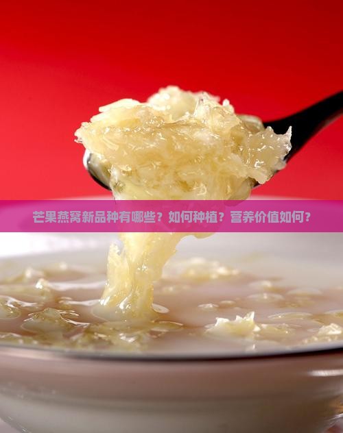 芒果燕窝新品种有哪些？如何种植？营养价值如何？