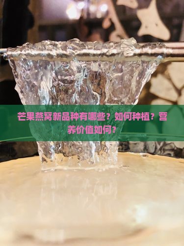 芒果燕窝新品种有哪些？如何种植？营养价值如何？