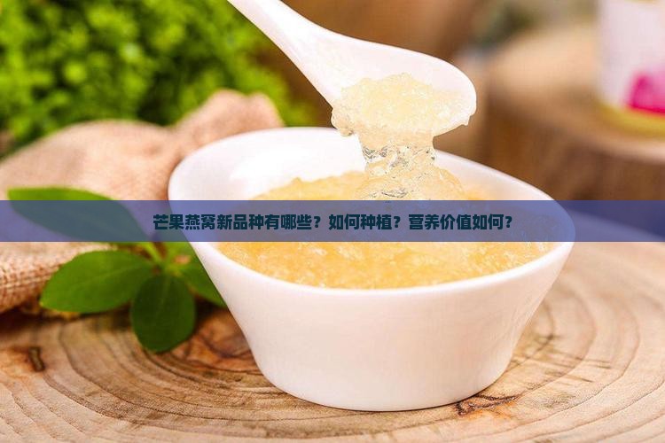 芒果燕窝新品种有哪些？如何种植？营养价值如何？