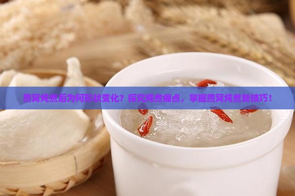 燕窝炖煮后为何形状变化？探究炖煮痛点，掌握燕窝炖煮新技巧！