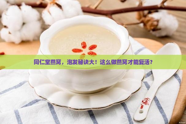 同仁堂燕窝，泡发秘诀大！这么做燕窝才能复活？