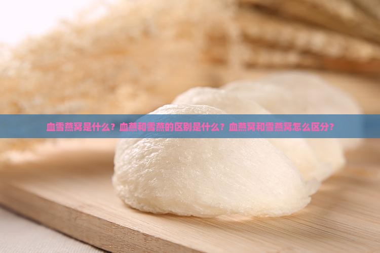 血雪燕窝是什么？血燕和雪燕的区别是什么？血燕窝和雪燕窝怎么区分？