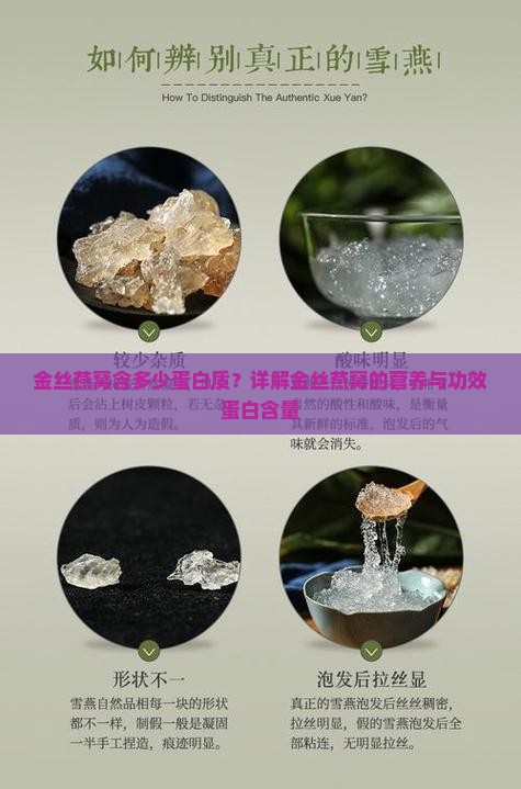 金丝燕窝含多少蛋白质？详解金丝燕窝的营养与功效蛋白含量