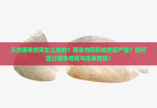 天然雨季燕窝怎么来的？雨季为何影响燕窝产量？如何区分雨季燕窝与旱季燕窝？