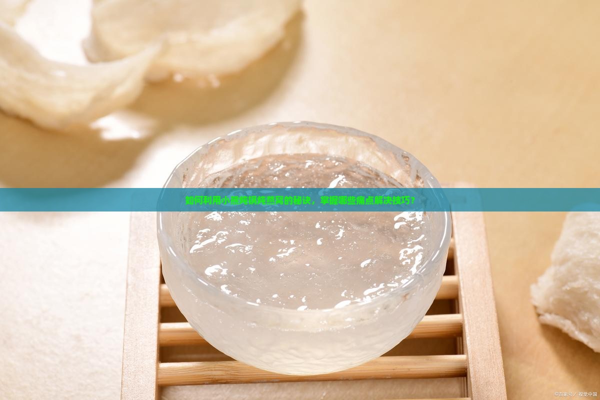 如何利用小熊炖锅炖燕窝的秘诀，掌握哪些痛点解决技巧？