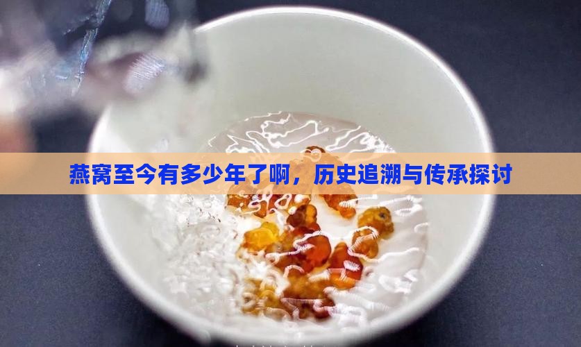 燕窝至今有多少年了啊，历史追溯与传承探讨