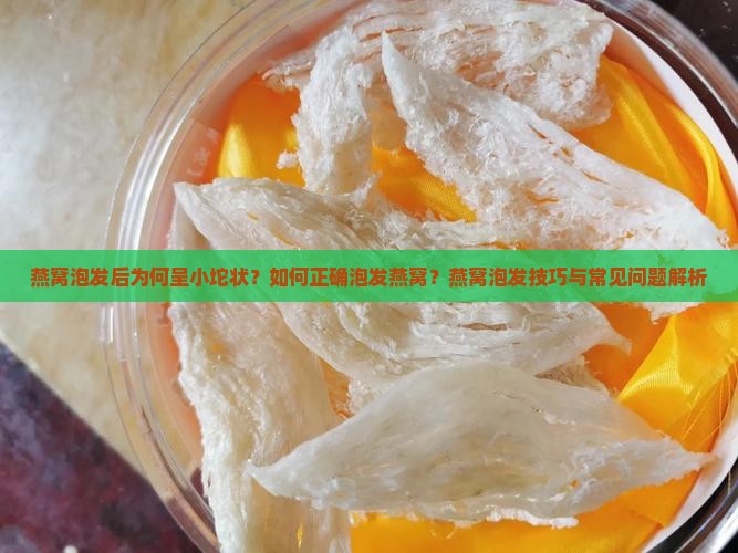 燕窝泡发后为何呈小坨状？如何正确泡发燕窝？燕窝泡发技巧与常见问题解析