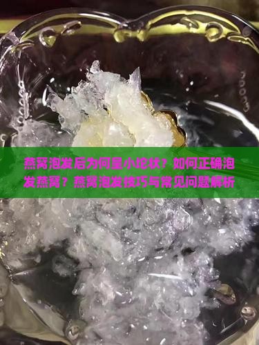 燕窝泡发后为何呈小坨状？如何正确泡发燕窝？燕窝泡发技巧与常见问题解析
