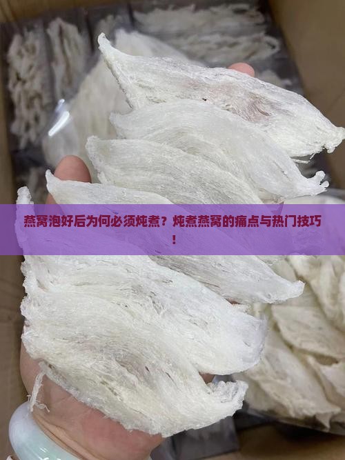 燕窝泡好后为何必须炖煮？炖煮燕窝的痛点与热门技巧！