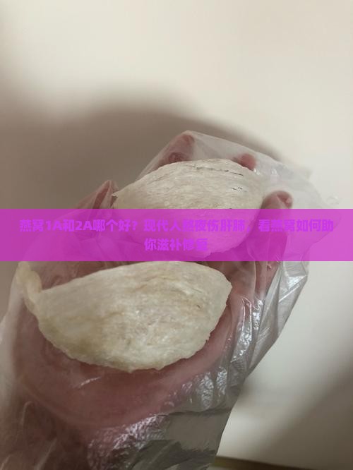 燕窝1A和2A哪个好？现代人熬夜伤肝肺，看燕窝如何助你滋补修复