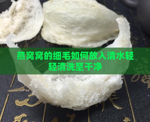 燕窝窝的细毛如何放入清水轻轻清洗至干净