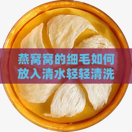 燕窝窝的细毛如何放入清水轻轻清洗至干净