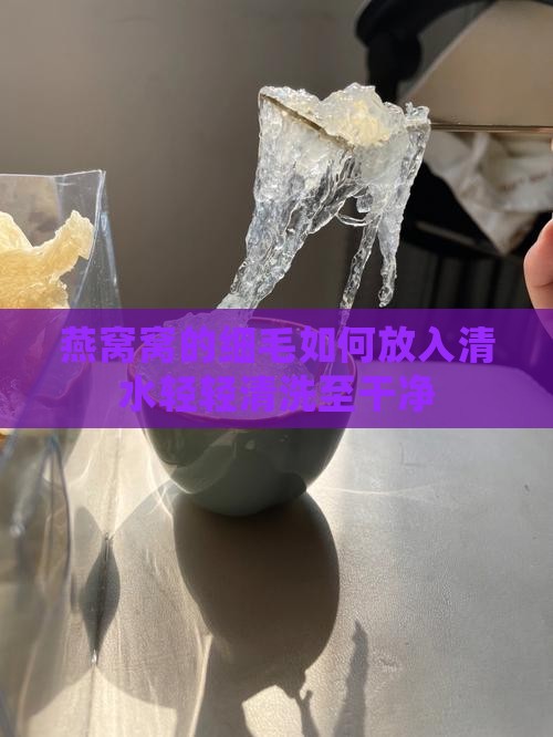 燕窝窝的细毛如何放入清水轻轻清洗至干净