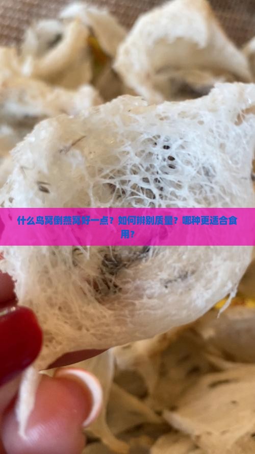什么鸟窝倒燕窝好一点？如何辨别质量？哪种更适合食用？