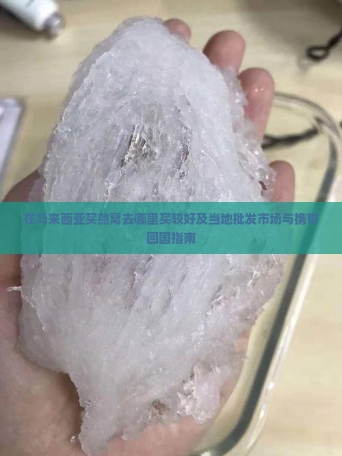 在马来西亚买燕窝去哪里买较好及当地批发市场与携带回国指南