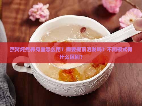 燕窝炖煮养身壶怎么用？需要提前泡发吗？不同模式有什么区别？