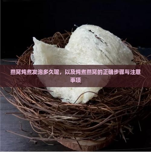 燕窝炖煮发泡多久呢，以及炖煮燕窝的正确步骤与注意事项