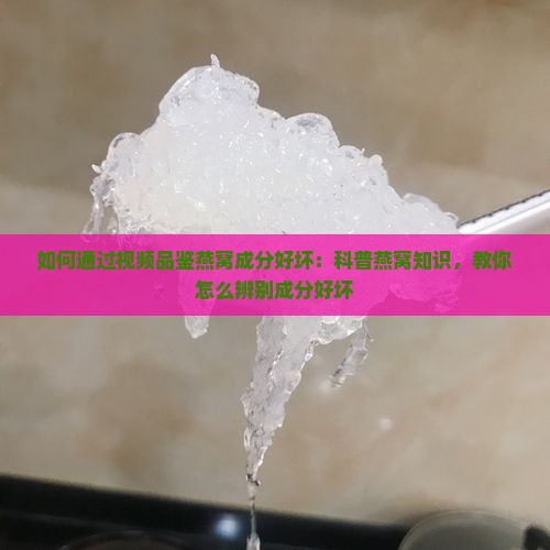 如何通过视频品鉴燕窝成分好坏：科普燕窝知识，教你怎么辨别成分好坏
