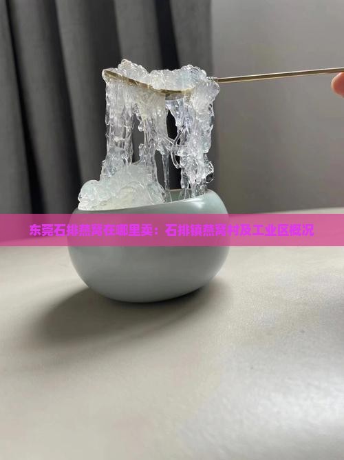 东莞石排燕窝在哪里卖：石排镇燕窝村及工业区概况