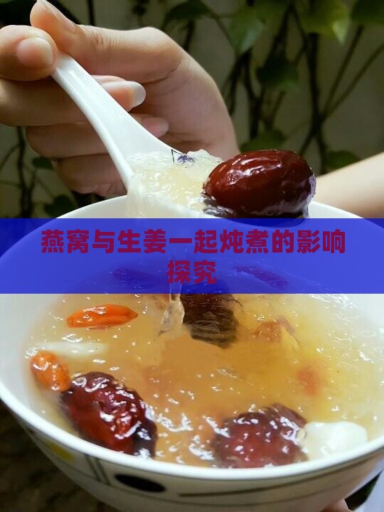 燕窝与生姜一起炖煮的影响探究