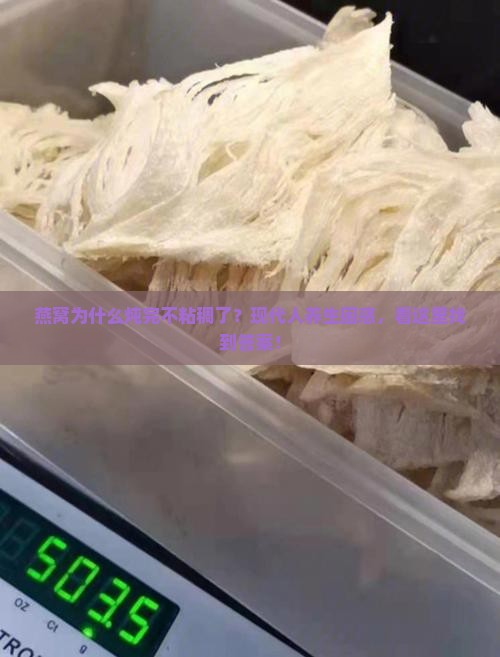 燕窝为什么炖完不粘稠了？现代人养生困惑，看这里找到答案！