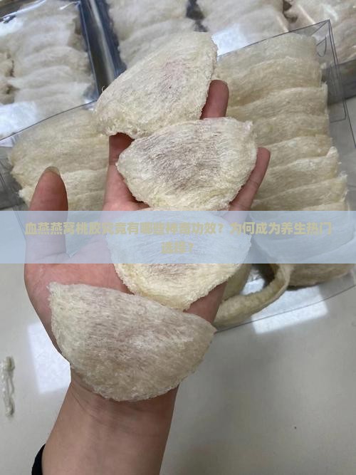 血燕燕窝桃胶究竟有哪些神奇功效？为何成为养生热门选择？
