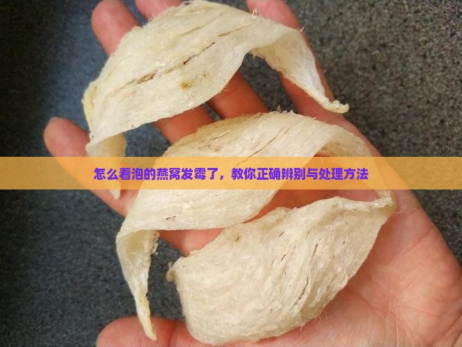 怎么看泡的燕窝发霉了，教你正确辨别与处理方法