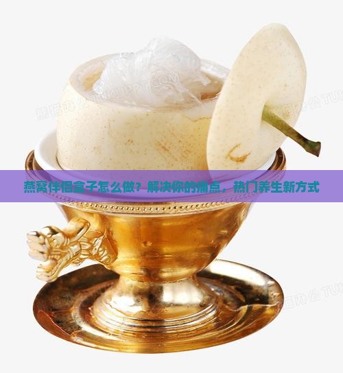 燕窝伴侣盒子怎么做？解决你的痛点，热门养生新方式