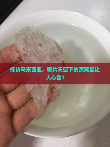 探访马来西亚，哪片天空下的燕窝最让人心动？