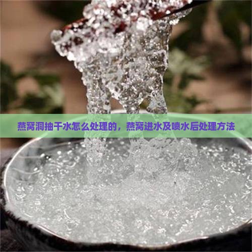 燕窝洞抽干水怎么处理的，燕窝进水及喷水后处理方法